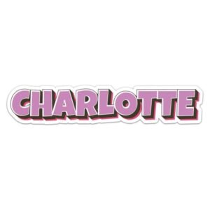 Read more about the article Best Car Detailing Charlotte: Comic Style Name Stickers for Your Ride