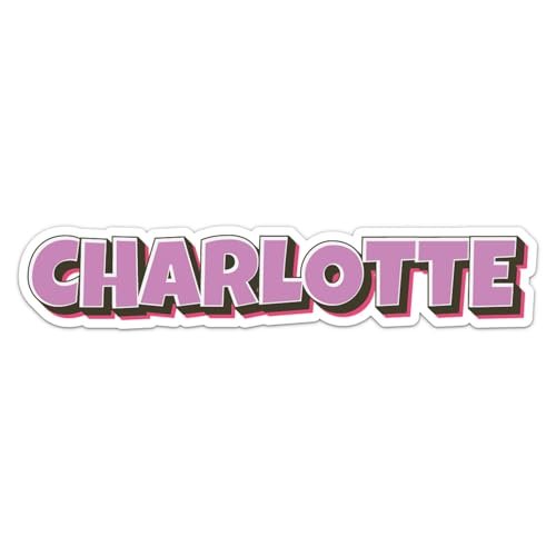 You are currently viewing Best Car Detailing Charlotte: Comic Style Name Stickers for Your Ride