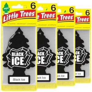 Read more about the article Best Car Air Fresheners for Men with 5 Top Picks