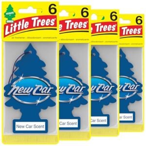 Read more about the article Best Car Air Fresheners for New Car Scent
