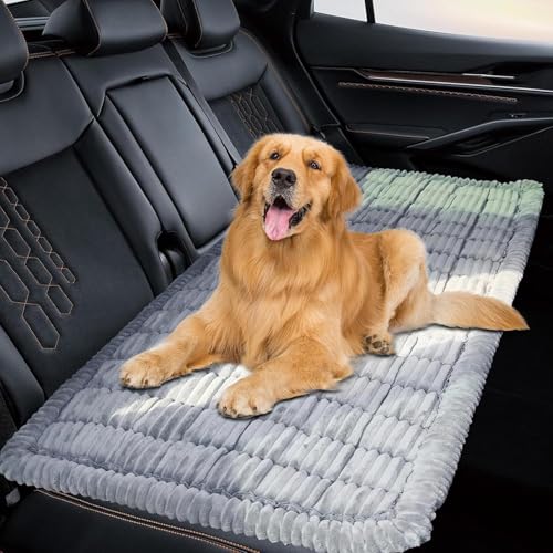 You are currently viewing 7 Best Car Floor Mats For Dog Hair Reviews