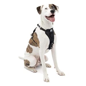Read more about the article 7 Best Car Harness For Dogs Reviews