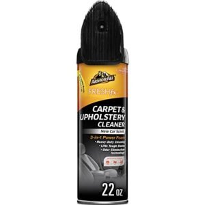 Read more about the article 5 Best Car Rug Cleaner Reviews