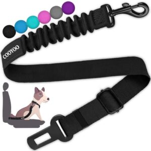 Read more about the article 5 Best Car Seat Belt For Large Dogs Reviews