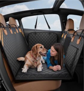 Read more about the article Best best dog car seat 4 knines: Best Dog Car Seat for 4 Dogs: 5 Top-Rated…