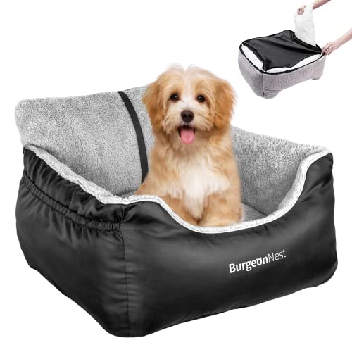 You are currently viewing 5 Best Dog Car Seats of 2025: Reviewed & Compared