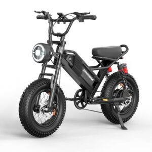 Read more about the article Best Electric Bikes for Heavy Riders with 5 Top Picks