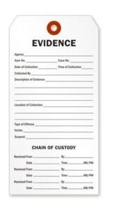 Read more about the article Best Evidence for Child Custody Decisions