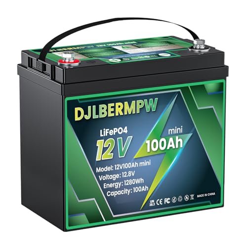 Mini 12V 100Ah LiFePO4 Lithium Battery, 100A BMS 1280W...