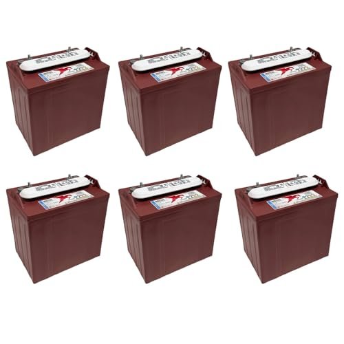 Trojan T875 8 Volt, 170 AH Deep Cycle Battery -...