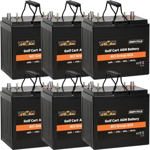 Weize GC8 8V Golf Cart Battery, 182AH High Capacity &...