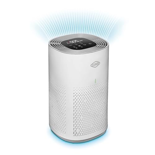 Clorox Air Purifiers for Home, True HEPA Filter, Medium...