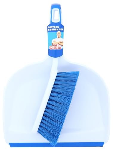 Mr Clean Dust Pan and Brush Set