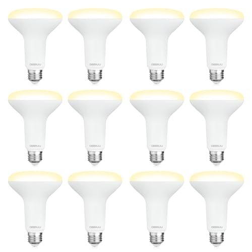 DEGNJU 12 Pack BR30 LED Recessed Light Bulb, Dimmable...