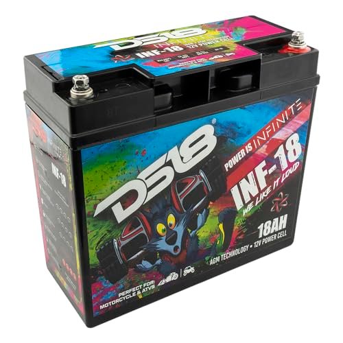 DS18 INF-18 18 AH 750 Watt AGM Power Cell 12...
