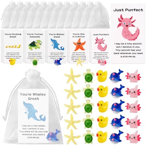 25 Set Employee Appreciation Gifts Bulk for Coworkers Small...