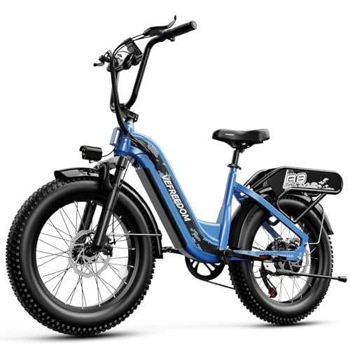 1500W Fat Tires Electric Bike for Adults，48V 20Ah Fast...