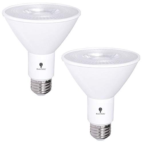 2 Pack PAR30 Outdoor LED Flood Light Bulb 12W 100...