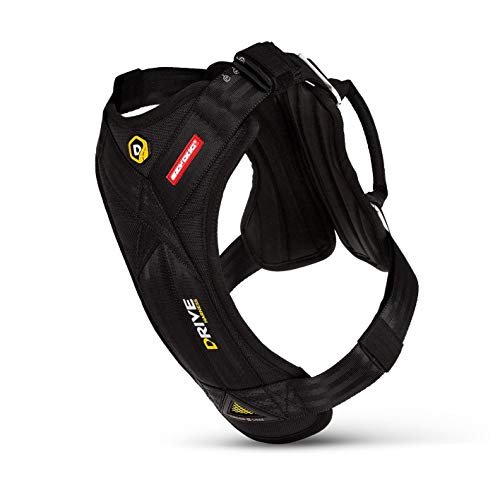 EzyDog Drive Dog Car Harness – Crash Tested and Certified...