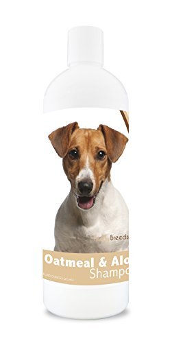 Healthy Breeds Jack Russell Terrier Oatmeal Shampoo with...