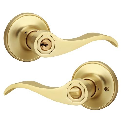 Gaurqiah Wave Style Entry Door Handle with Keys, Keyed...
