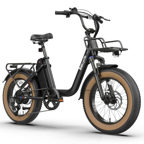 1500W Peak Electric Bikes for Adults 20
