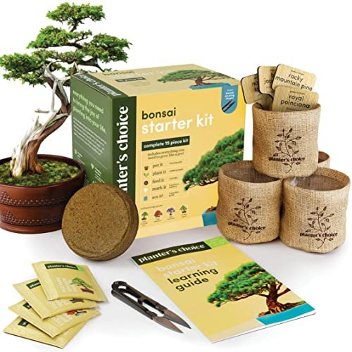 Bonsai Starter Kit - Gardening Easter Gift for Women &...