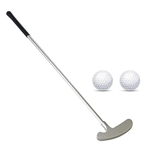Golf Putter, Two Ways Golf Putters for Men Right/Left...