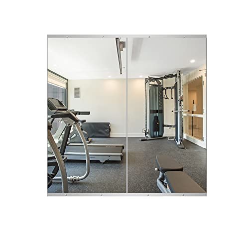 Delma Home Gym Mirror - 48''x24'' Frameless Wall Mirror...