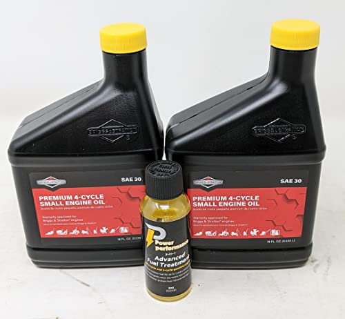Briggs and Stratton (Pack of 2) 100005 SAE 30 Engine...