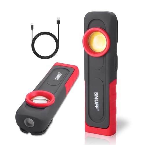 Car Detailing Light Rechargeable, 600LM Paint Correction...