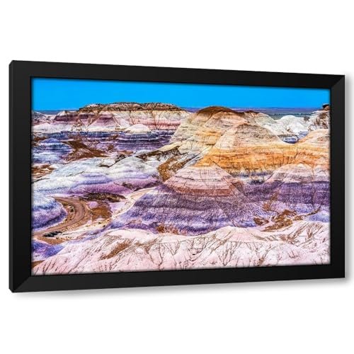 ArtDirect Blue Mesa Trail-Painted Desert-Petrified Forest...