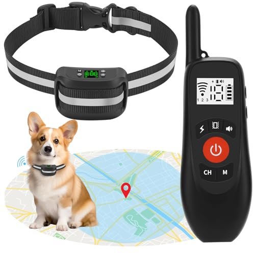 LOTYP 2-in-1 GPS Wireless Dog Fence & Remote Training...