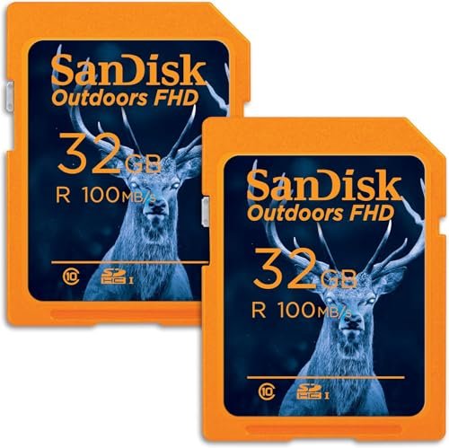 SanDisk 32GB 2-Pack Outdoors FHD SDHC UHS-I Memory Card...