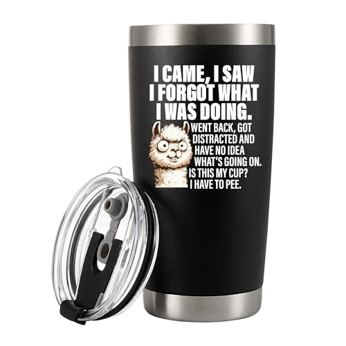 I Came I Saw I Forgot What I Was Doing...