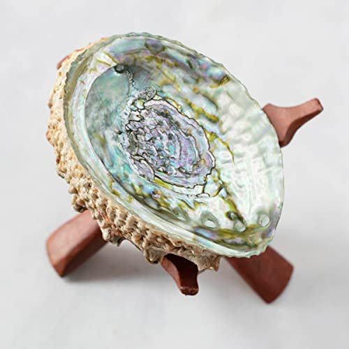 ESPOIR & AMOUR Abalone Shell with Wooden Tripod -...