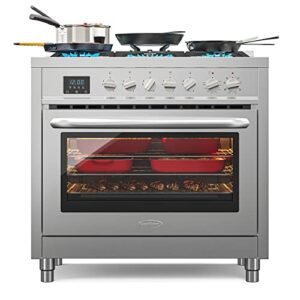 Read more about the article Best 36 Inch Dual Fuel Ranges for Home Cooking