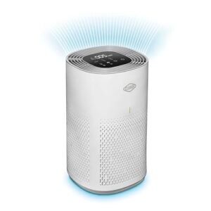 Read more about the article Best Air Filters for Mold Removal and Prevention