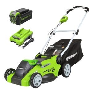 Read more about the article Best Battery Lawn Mowers for Efficient Lawn Care