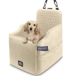 Read more about the article Best Car Seats for Dachshunds: 10 Best Choices