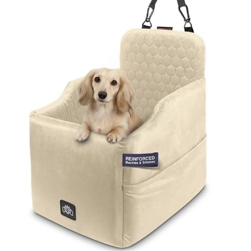 You are currently viewing Best Car Seats for Dachshunds: 10 Best Choices