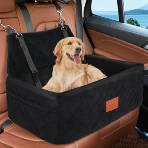 Read more about the article Best Car Seats for Large Dogs – 5 Options Reviewed