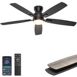 Read more about the article Best Cooling Ceiling Fans for Ultimate Comfort