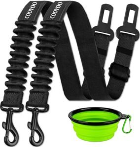 Read more about the article Best Dog Car Seat Belt for Safety and Comfort