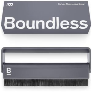 Read more about the article 7 best dust brush vinyl options reviewed for 2025