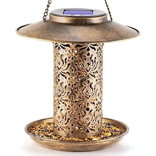You are currently viewing Best Gift Ideas for Bird Lovers: 7 Best Choices