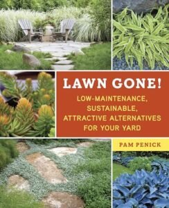 Read more about the article Best Grass Alternatives for Your Lawn and Landscape