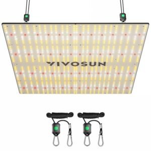 Read more about the article Best Grow Lights for 4×4 Grow Tents