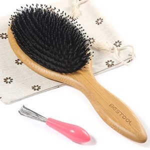 Read more about the article Best Hair Brushes for Oily Hair – 7 Options Reviewed