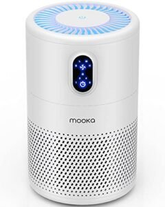 Read more about the article Best HEPA Filter Air Purifiers for Clean Air